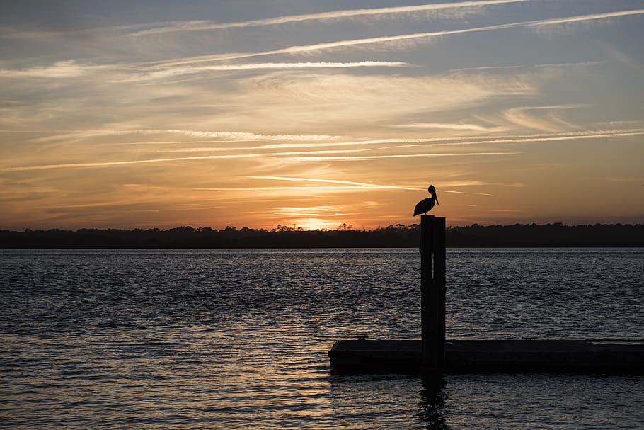 sunset, water, dawn, sea, silhouetted, beach, seascape, evening, HD wallpaper