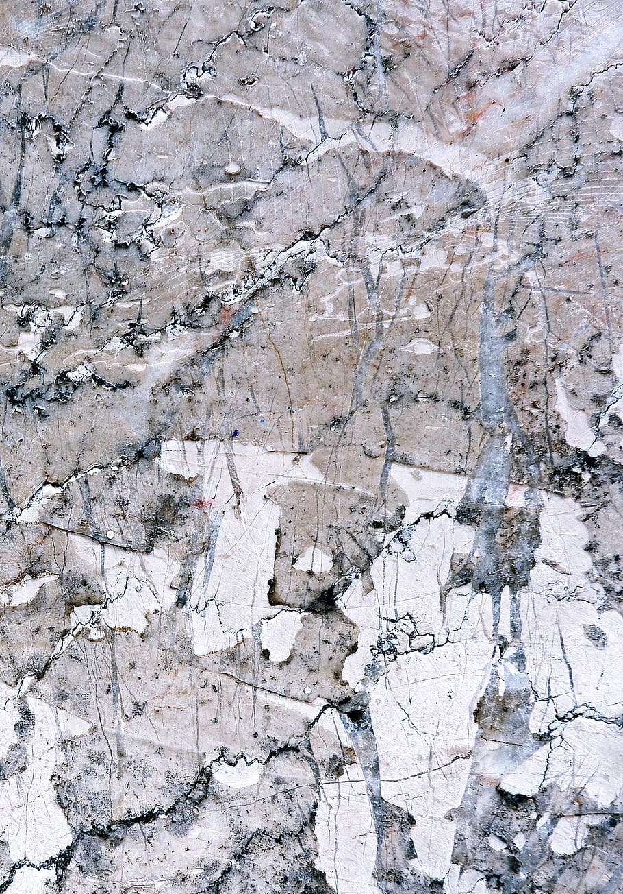 rock, marble, plant, texture, granite, military uniform, tree, HD wallpaper