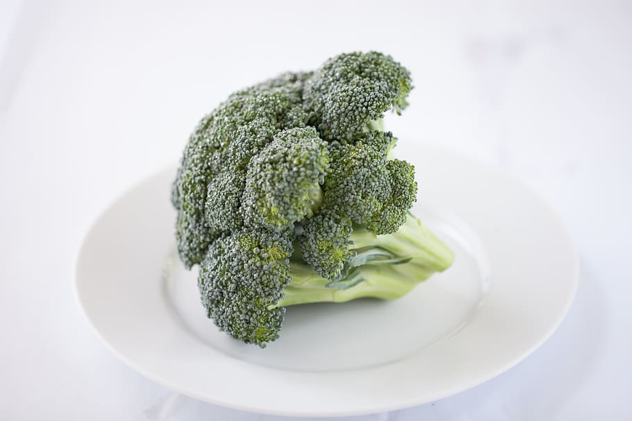 Broccoli, blur, close-up, diet, dinner, food, green, grow, health HD wallpaper