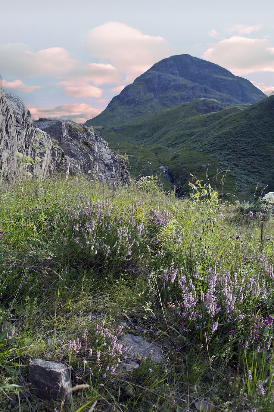 united kingdom, glencoe, plant, beauty in nature, sky, growth HD wallpaper
