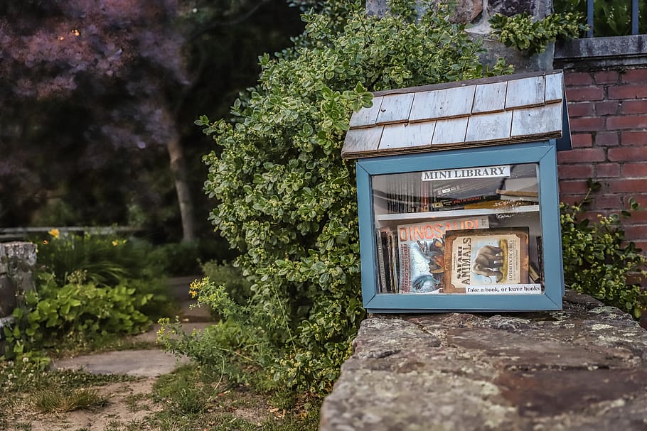 library, books, community, read, learning, knowledge, education HD wallpaper