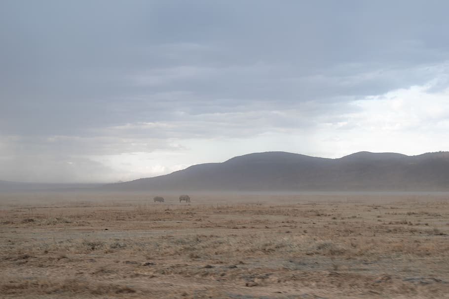 nature, outdoors, desert, soil, nakuru, kenya, nakuru national park HD wallpaper