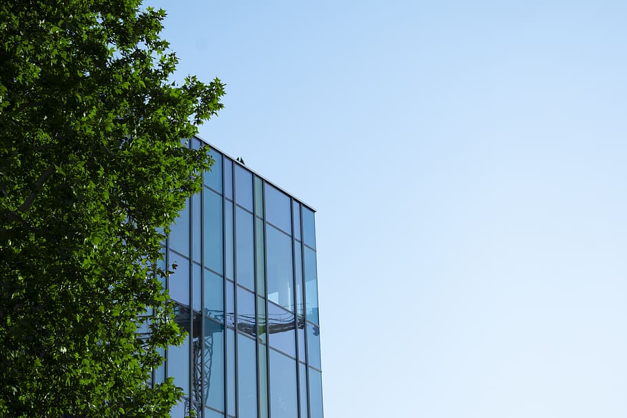 sky, building, blue, green, wood, plant, nature, business, background HD wallpaper