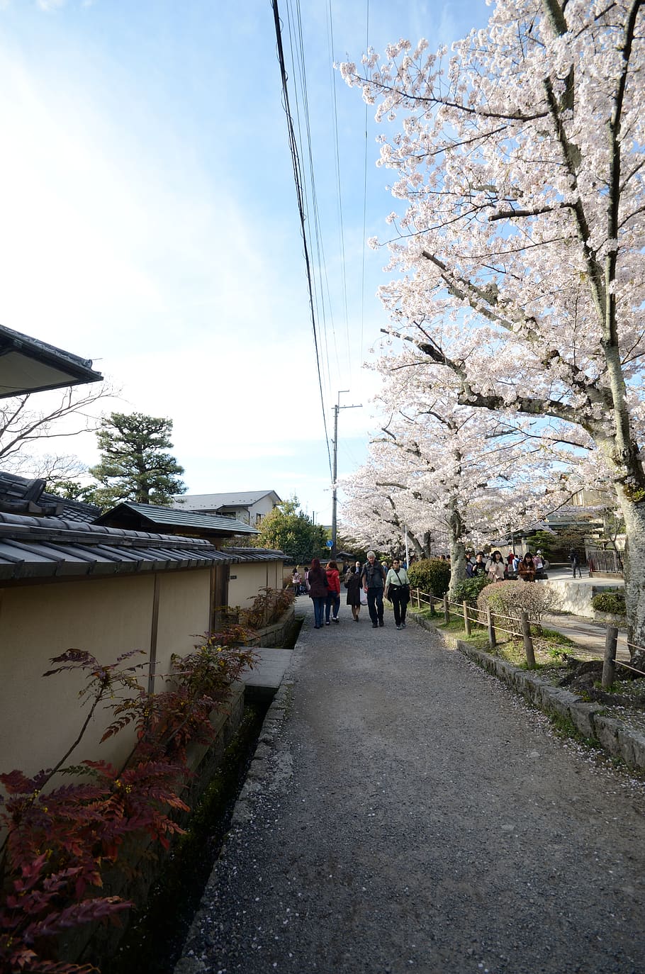 japan, kyoto, sky, transportation, plant, nature, architecture HD wallpaper