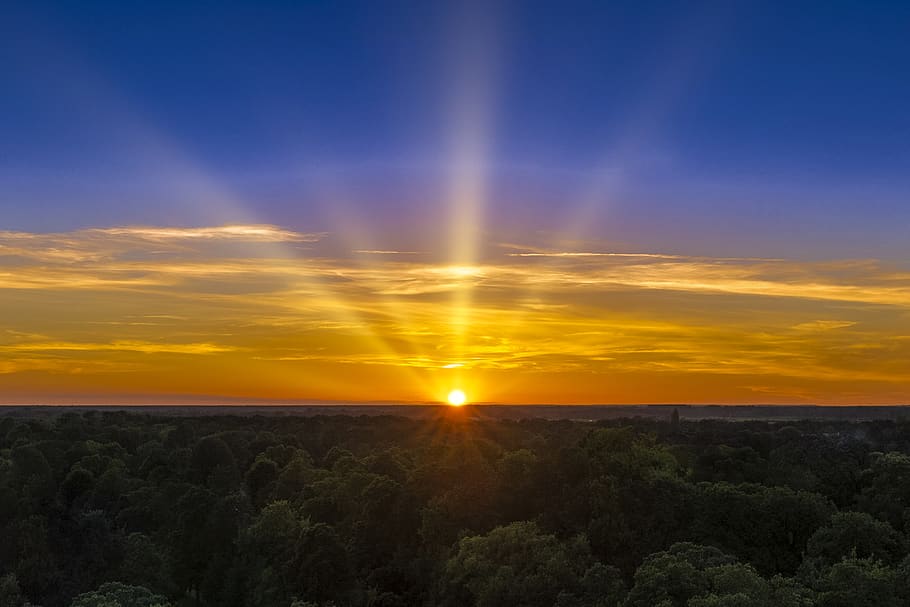 sunset, sky, clouds, forest, sundown, scenics - nature, cloud - sky HD wallpaper