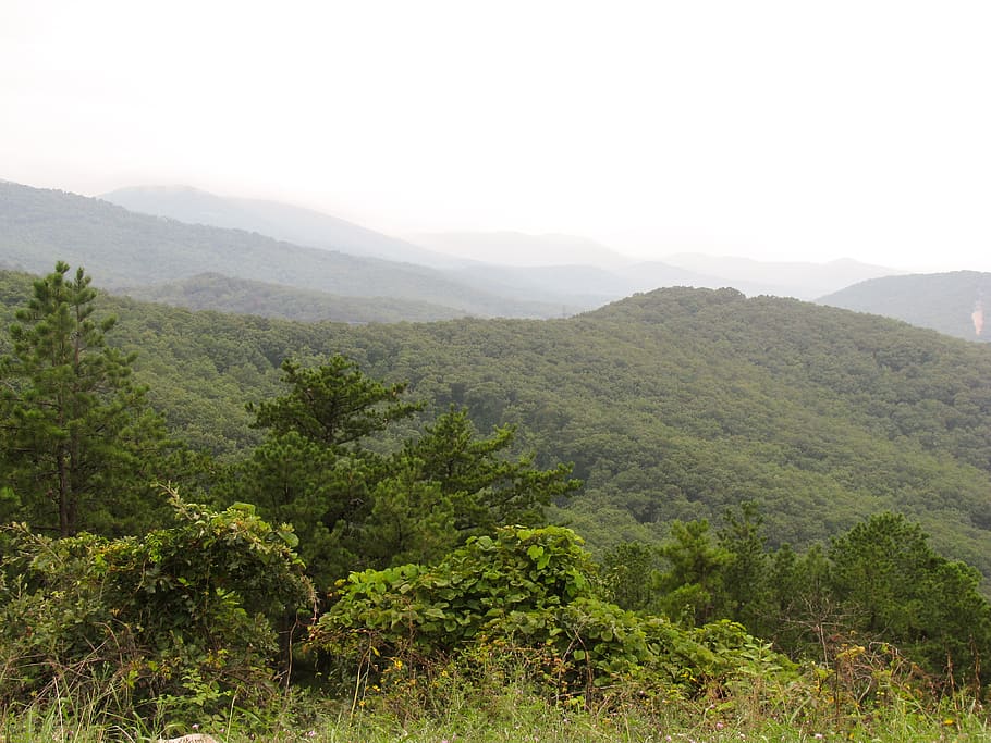mountains, hills, trees, green, landscape, nature, outdoors HD wallpaper
