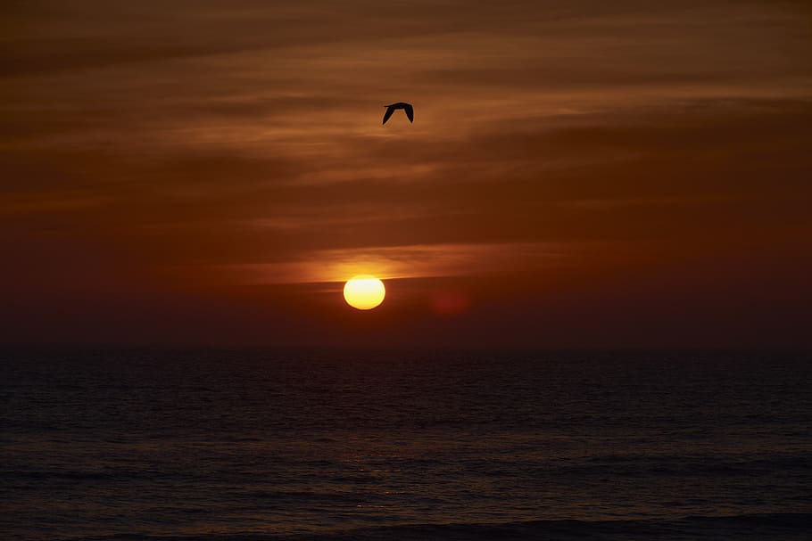 sunset, landscape, horizon, ocean, sea, sky, beauty in nature HD wallpaper