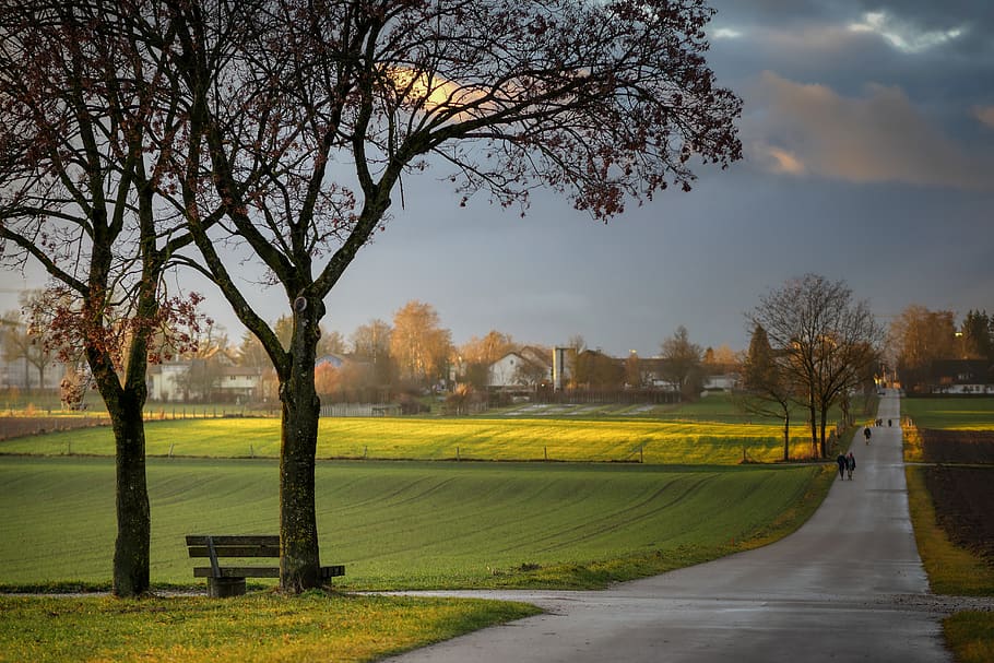 rest, clouds, tree, bank, meadow, fields, away, abendstimmung HD wallpaper