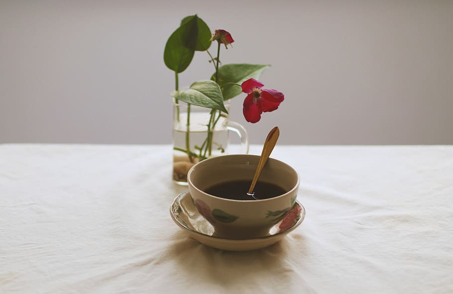 flower, caffee, board, break, decoration, cup, freshness, flowering plant, HD wallpaper