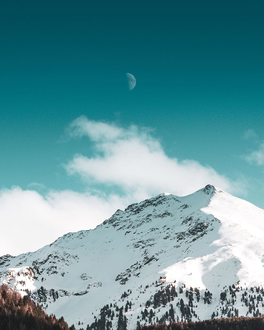 green trees on mountain, snow, winter, cold temperature, sky HD wallpaper