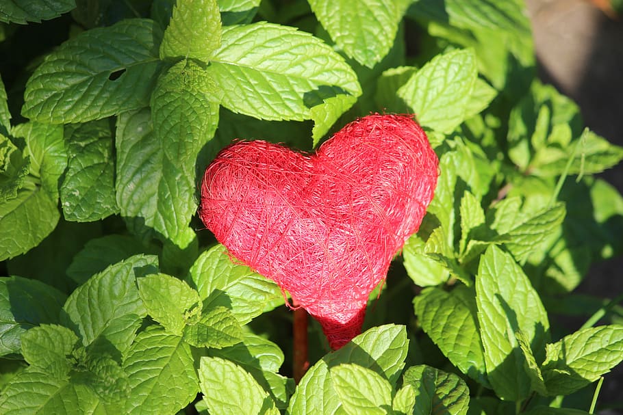 heart, red, connectedness, luck, love, decoration, heart shape HD wallpaper