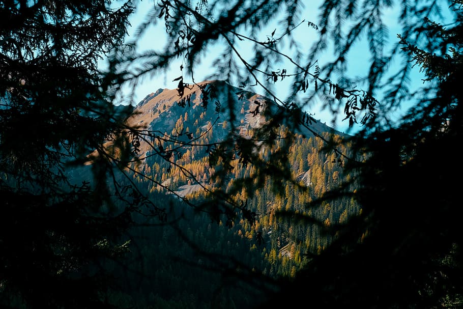 Wide Angle Photography of Mountain, autumn, branches, color, dark HD wallpaper