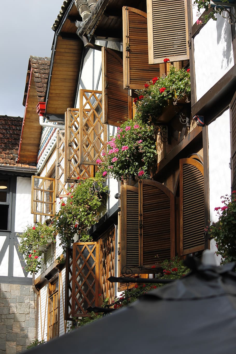 homes, architecture, building exterior, built structure, plant HD wallpaper