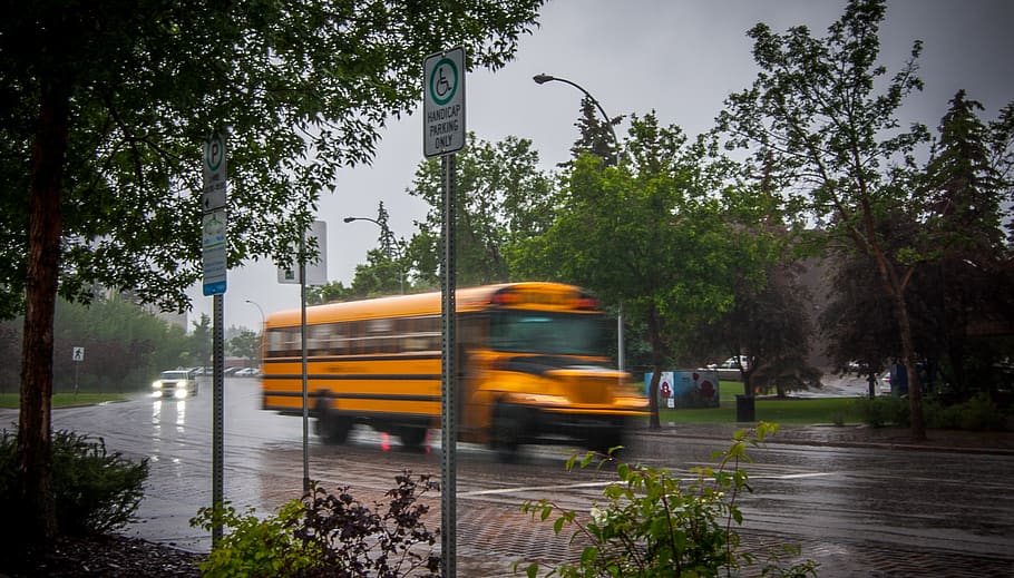 yellow passenger bus, transportation, mode of transportation HD wallpaper