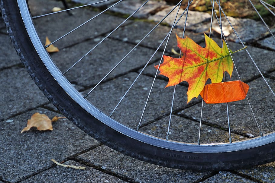 bike, spokes, orange, in the fall, leaf, in the shadows, autumn HD wallpaper