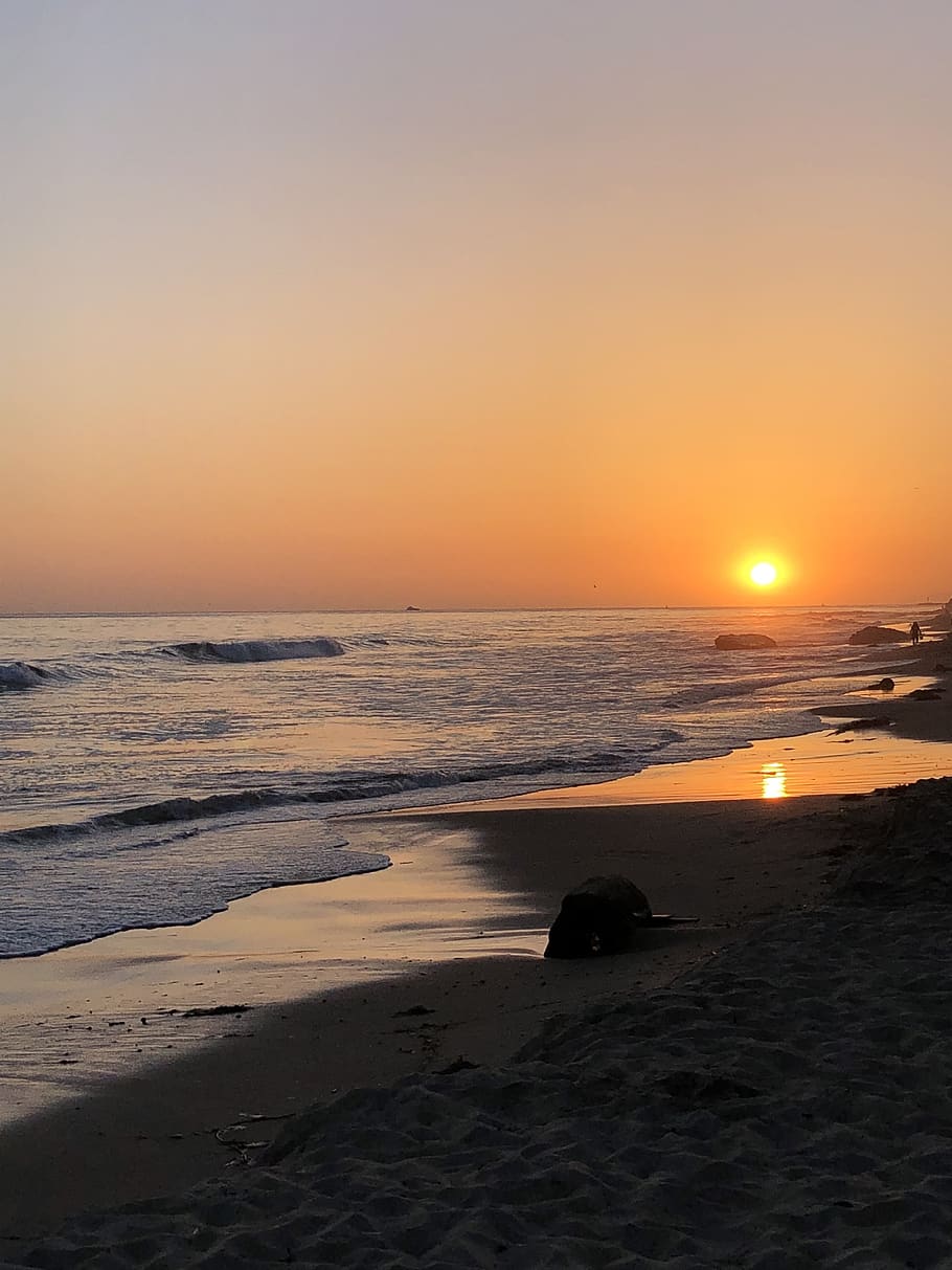 sunset, pacific, beach, ocean, sea, california, nature, landscape HD wallpaper