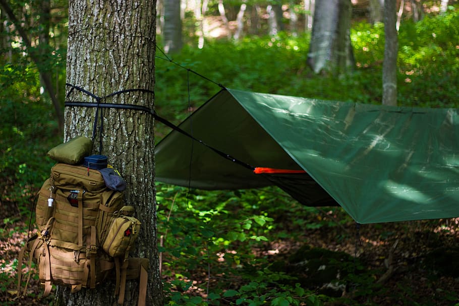 outdoor, hammock, bushcraft, survival, stock, trekking, forest, HD wallpaper