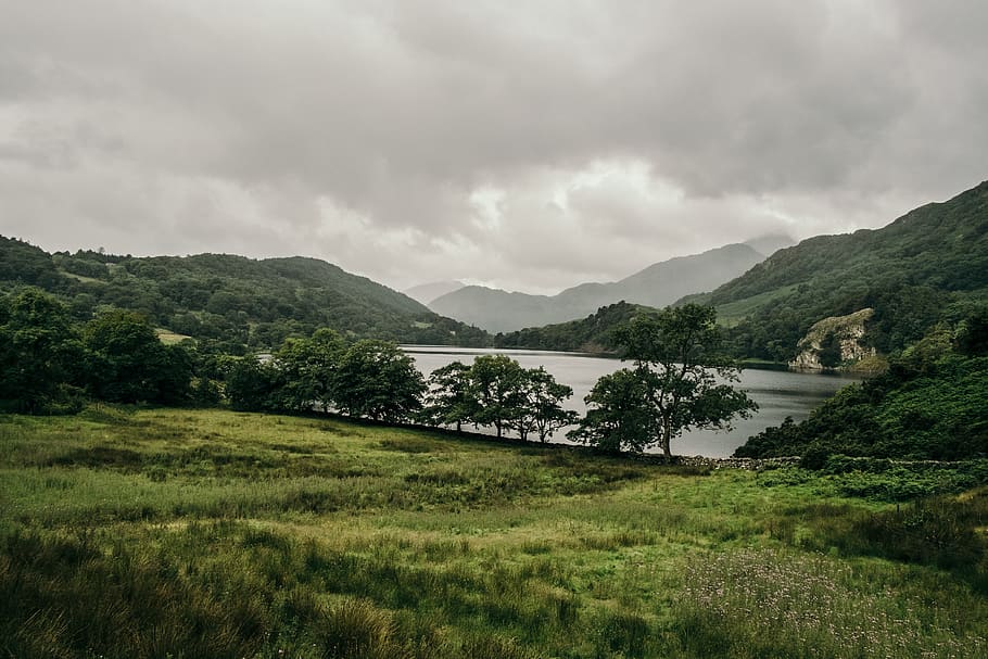 trees, lake, forest, hills, mountains, wales, grass, outdoors HD wallpaper