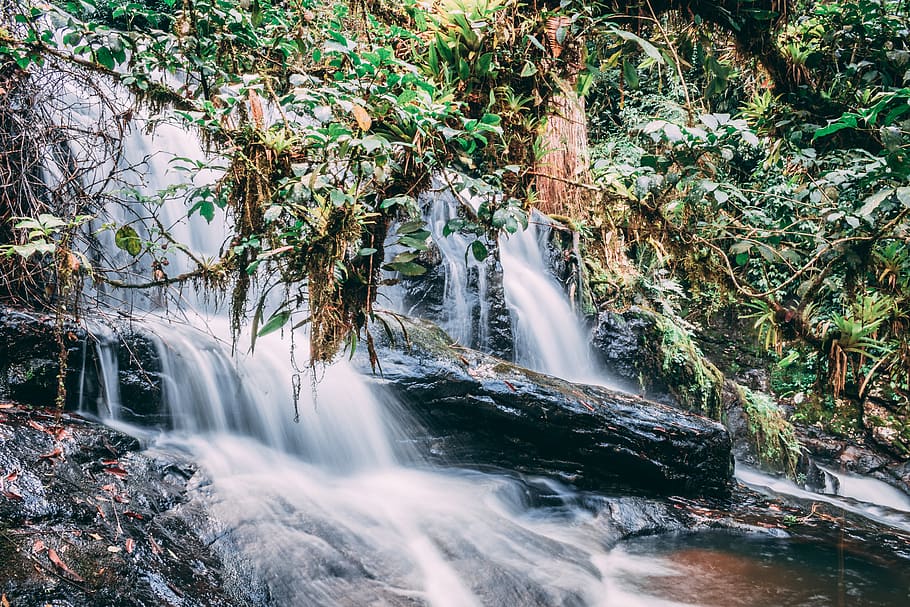 brazil, corupá, waterfall, forest, tree, flowing water, motion HD wallpaper