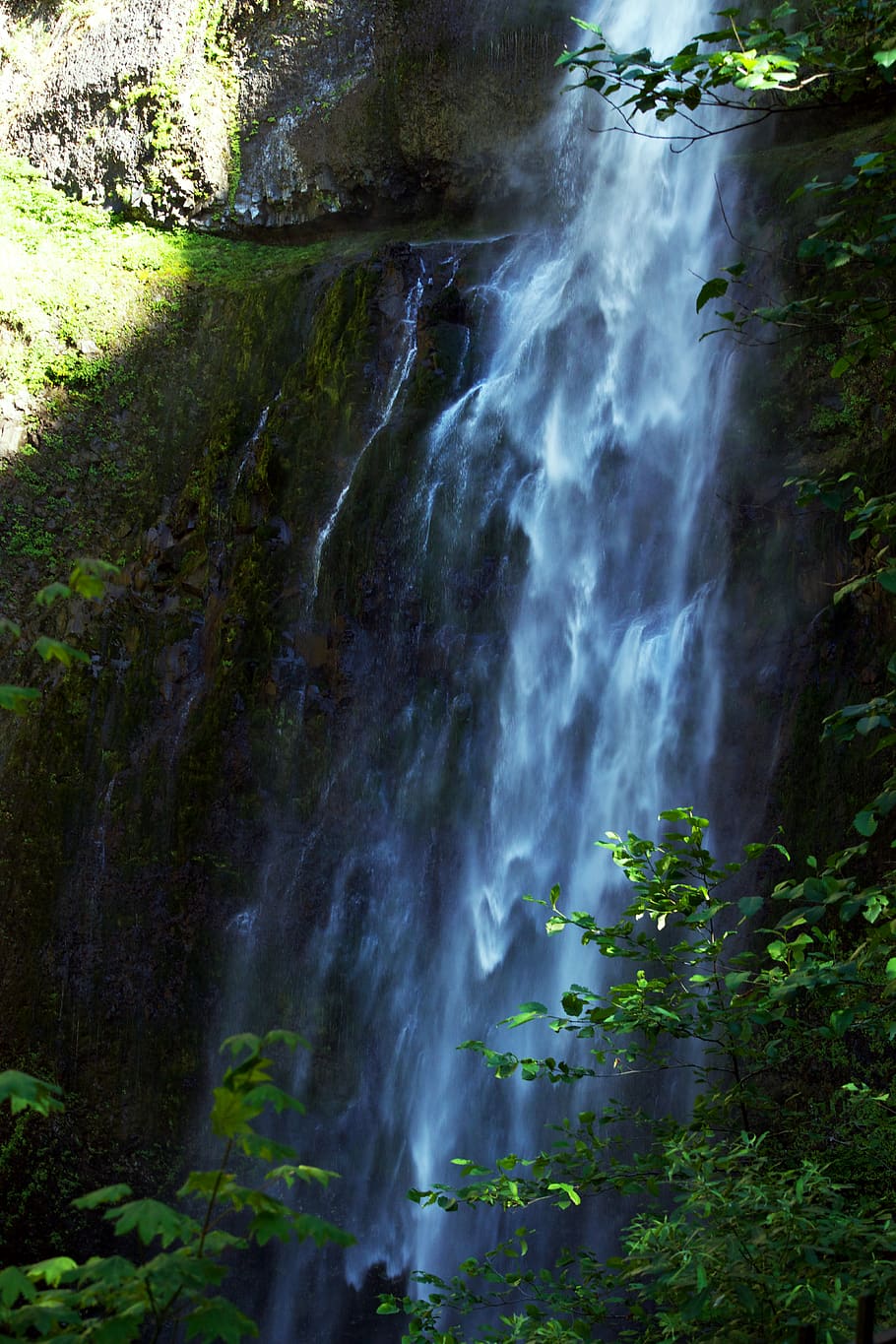 raging waterfalls, outdoors, river, nature, plant, tree, vegetation HD wallpaper