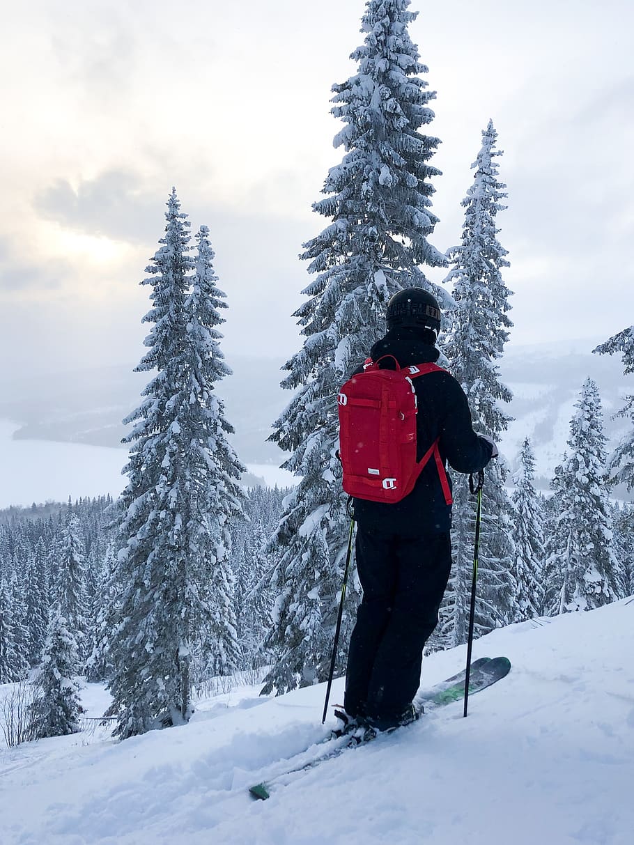 person skiing during daytime, outdoors, human, nature, tree, plant HD wallpaper