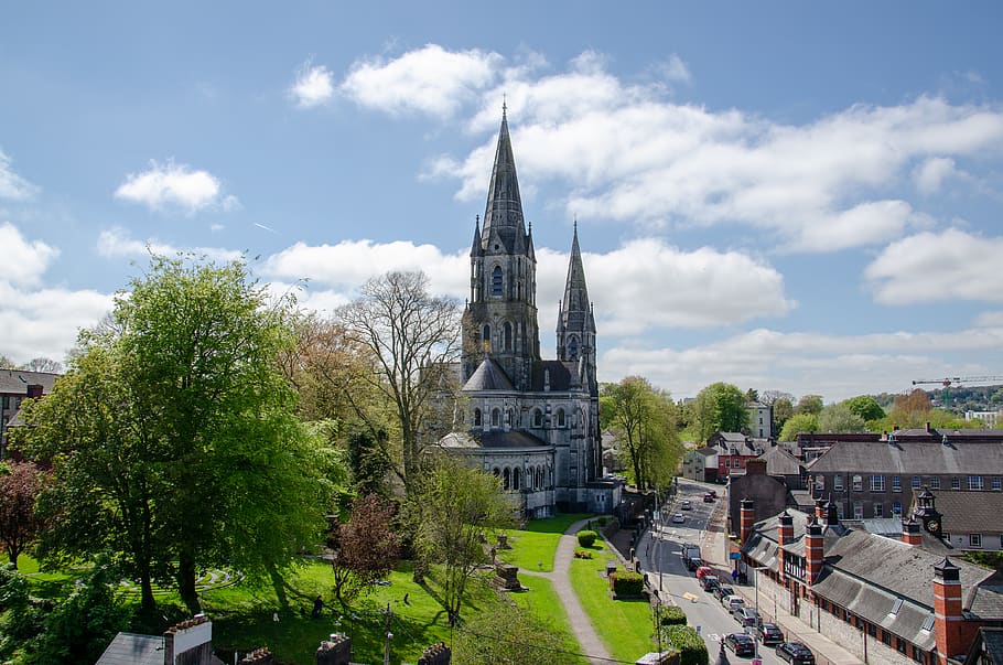 ireland, cork city, church, park, clouds, street, trees, cathedral