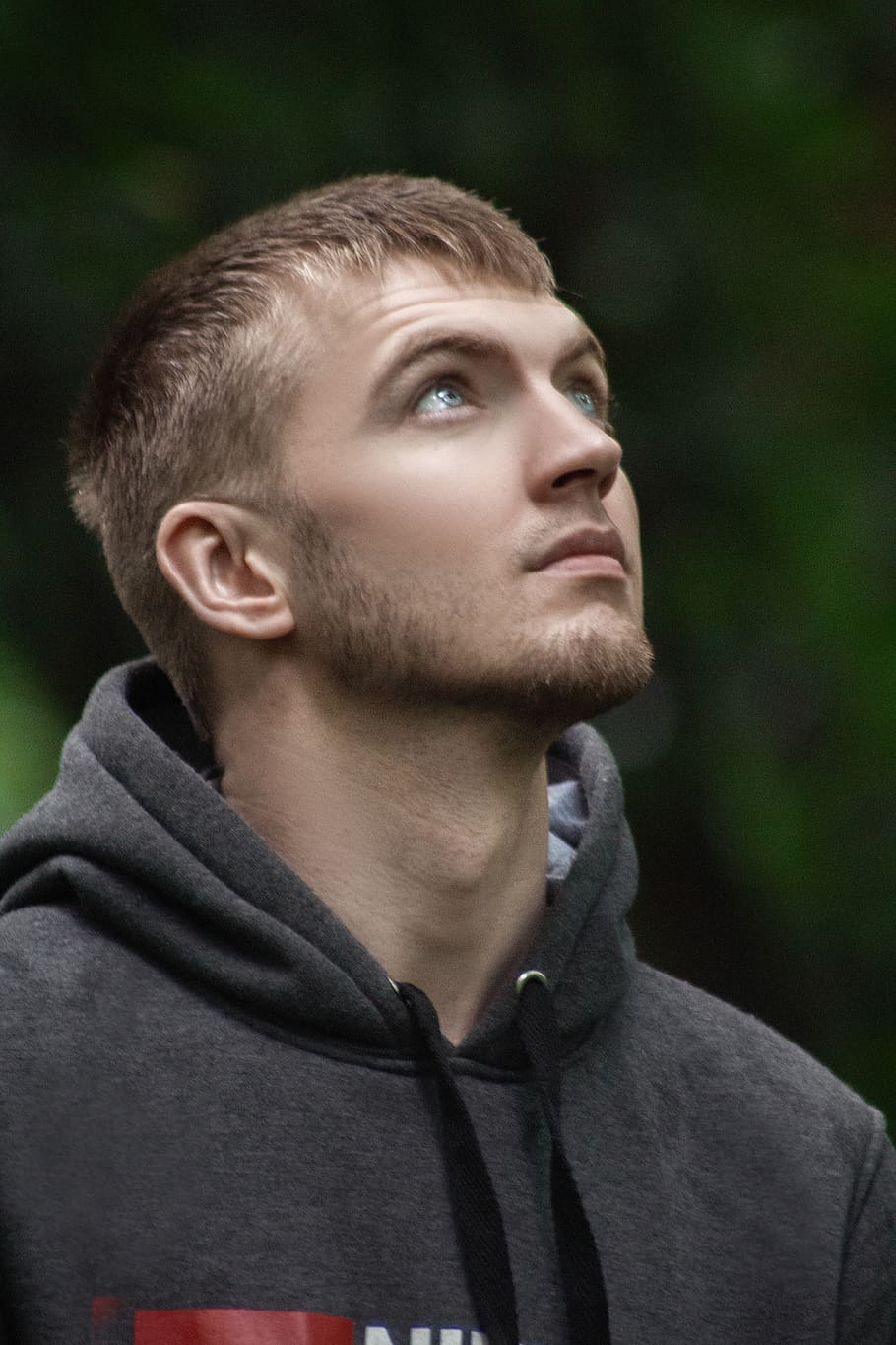 guy, man, romantic, young, grown up, attractive, model, person HD wallpaper