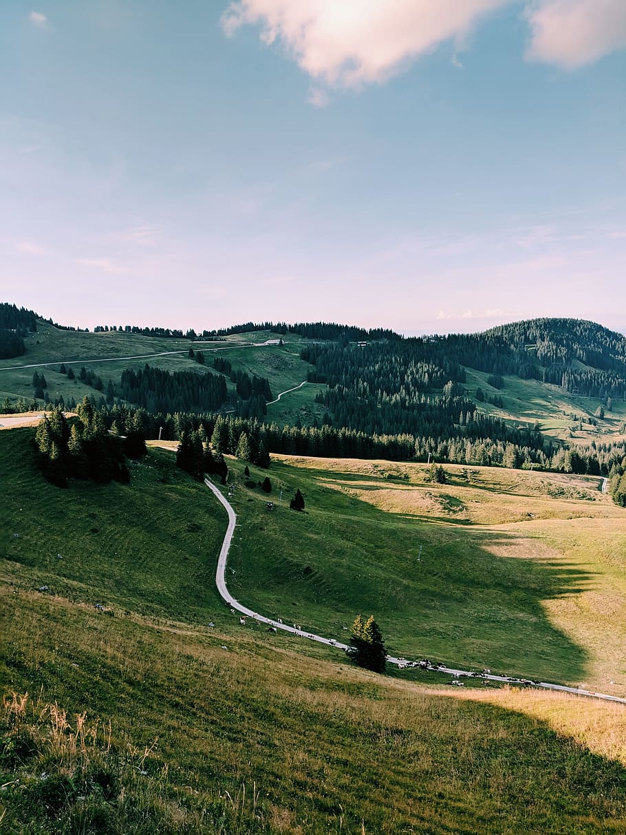 curved road in between grass field during day, mountain, tree HD wallpaper