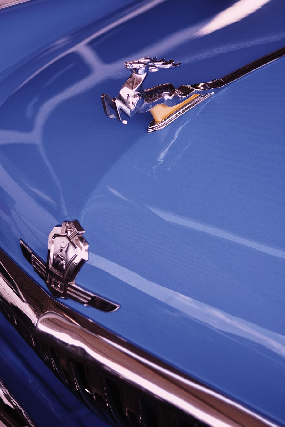 silver car emblem, transportation, mode of transportation, nature HD wallpaper