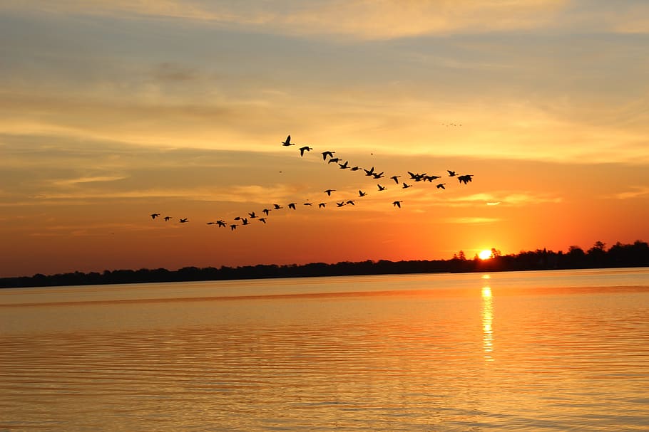 sunset, dawn, water, dusk, sky, lake, beach, evening, nature HD wallpaper
