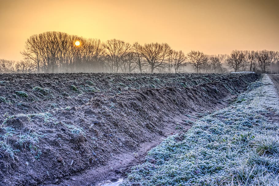 sunrise, light, mood, winter, morning, cold, frosty, icy, agriculture HD wallpaper