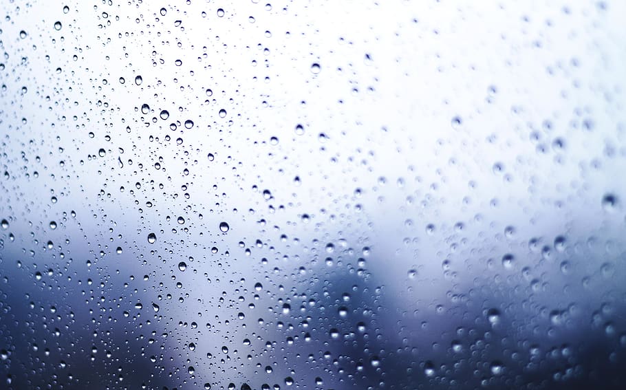 Macro Photography of Dew, background, blurred background, close-up HD wallpaper
