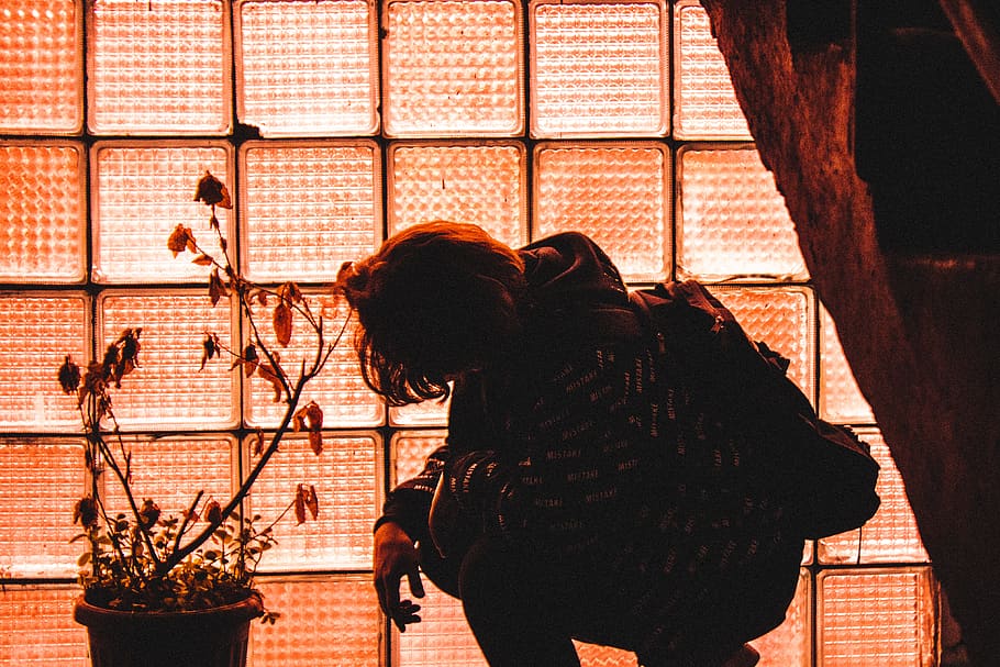 human, person, window, silhouette, flare, light, plant, brick HD wallpaper