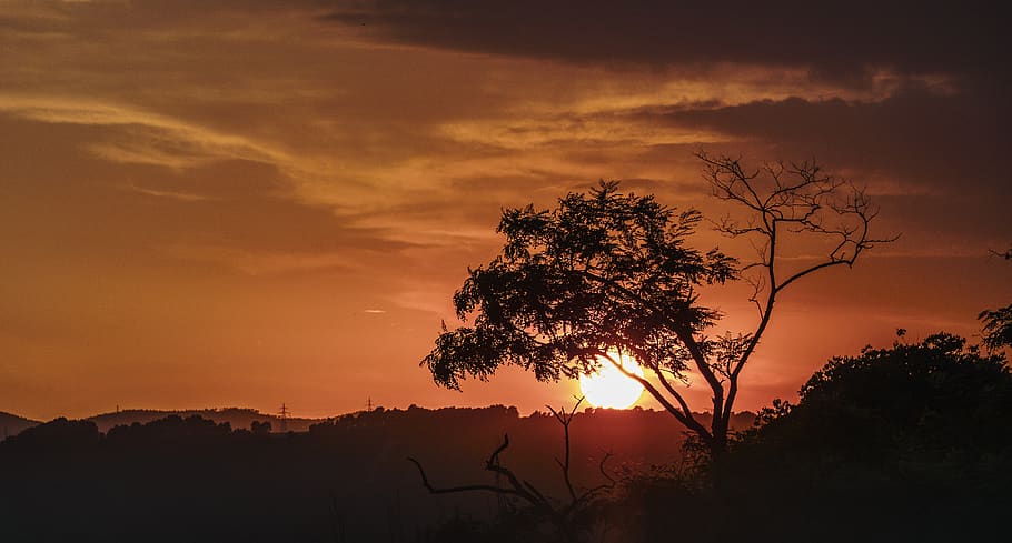 sun, twilight, red, clouds, romantic, summer, trees, afternoon HD wallpaper