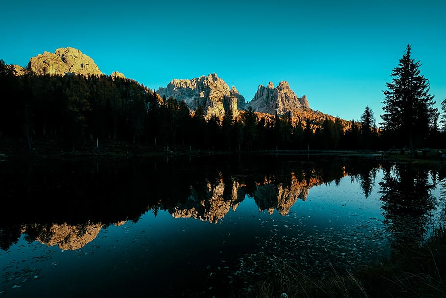 Body of Water Beside Green Trees, dark, dawn, daylight, evening HD wallpaper