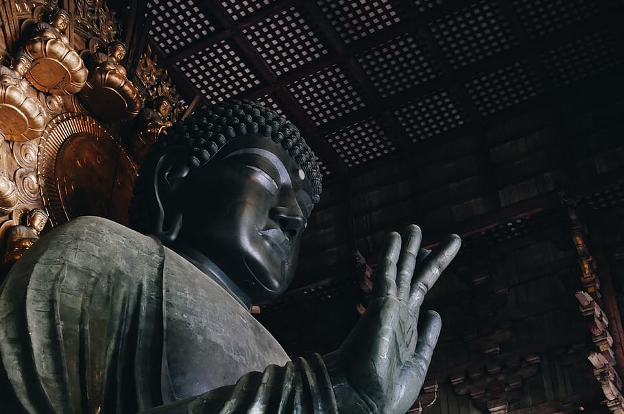 black Buddha statue inside room, religion, human representation HD wallpaper