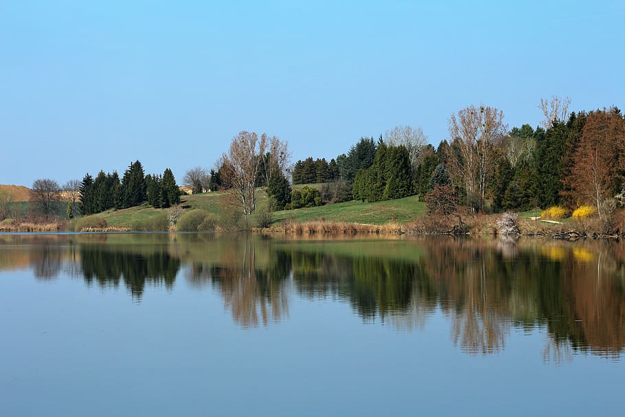 spring, canon, water, forest, trees, nature, reflection, sky HD wallpaper