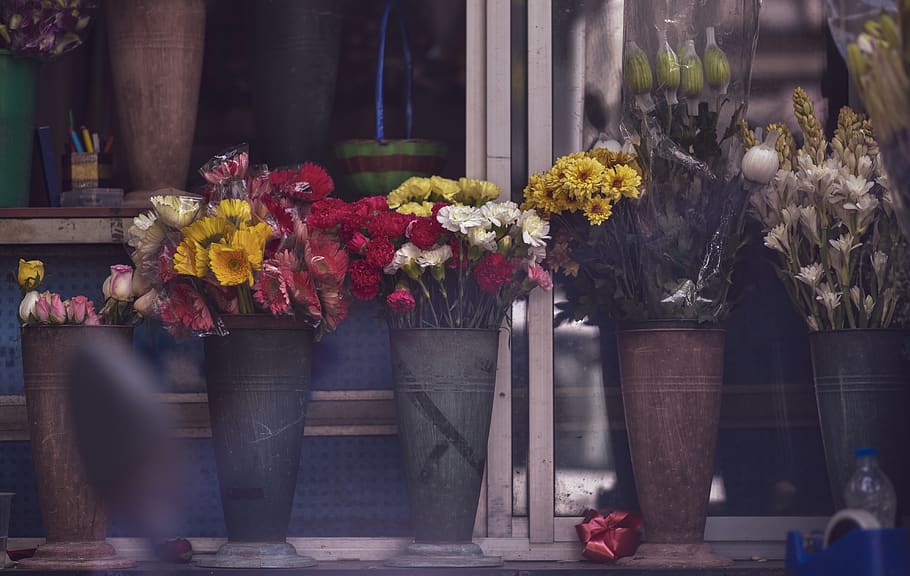 flowers in vases, plant, human, person, blossom, flower bouquet HD wallpaper