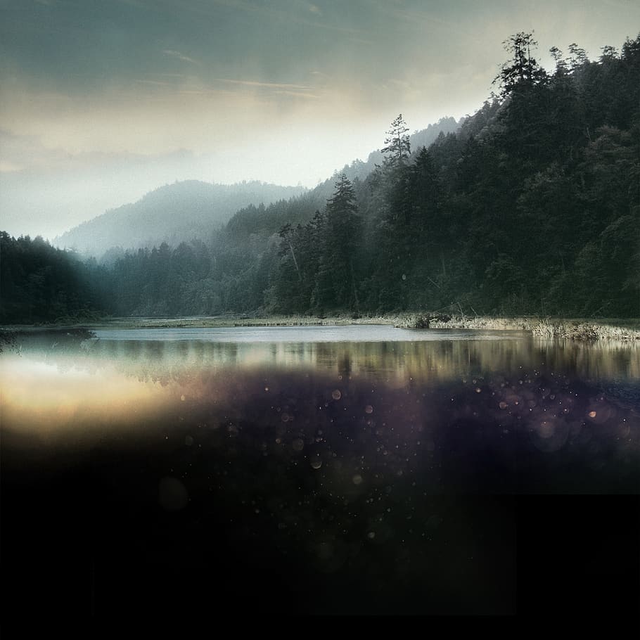 trees, lake, forest, dark, sad, scary, mountain, fog, creek HD wallpaper