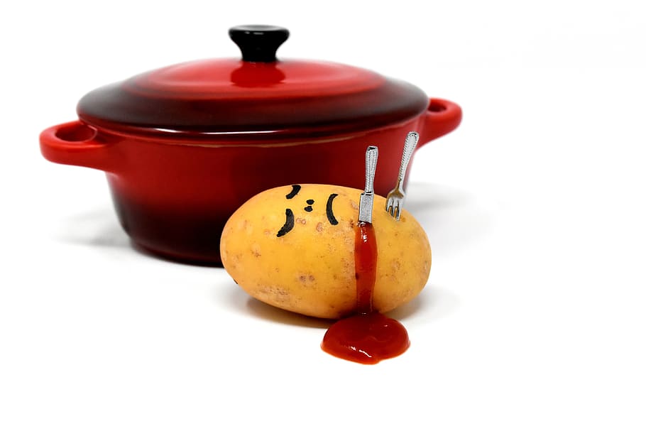 potato, meal, kill, preparing something to eat, food, nature HD wallpaper