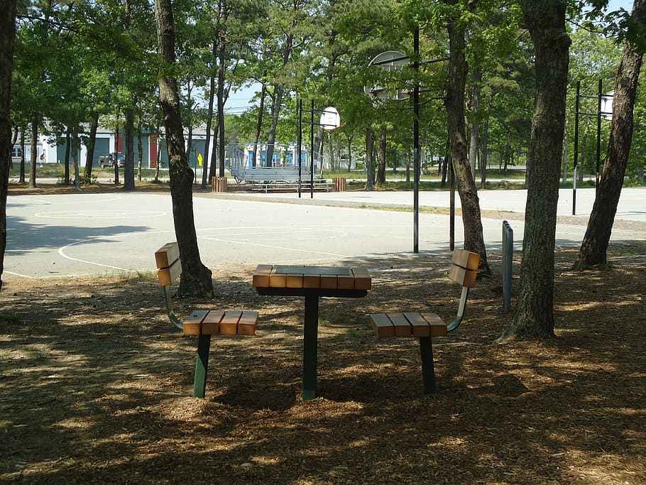 park, picnic, table, bench, shade, tree, seat, plant, trunk HD wallpaper