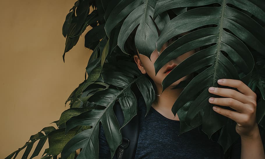 Photo of a Boy Near Leaves, covered, fingers, foliage, guy, hand HD wallpaper