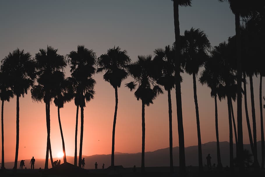 California USA Beach Scenery Sunset Corona Del Mar 4K Wallpaper iPhone HD  Phone 4070f