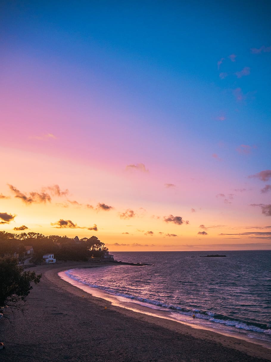 tree, nature, summer, beach, sea, sun, sunset, sky, luca dugaro HD wallpaper