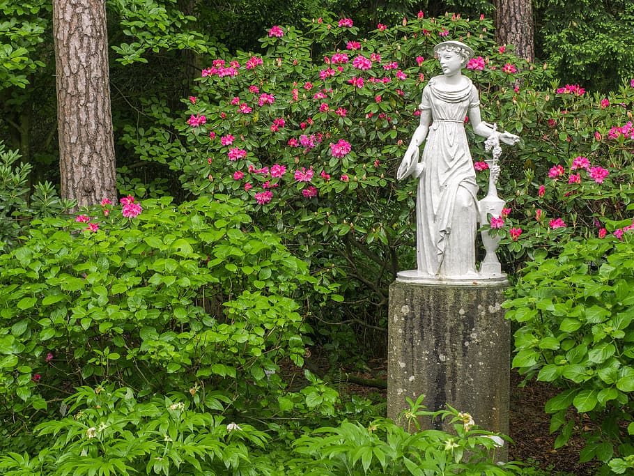 flowers, park, sculpture, garden, plant, flowering plant, statue