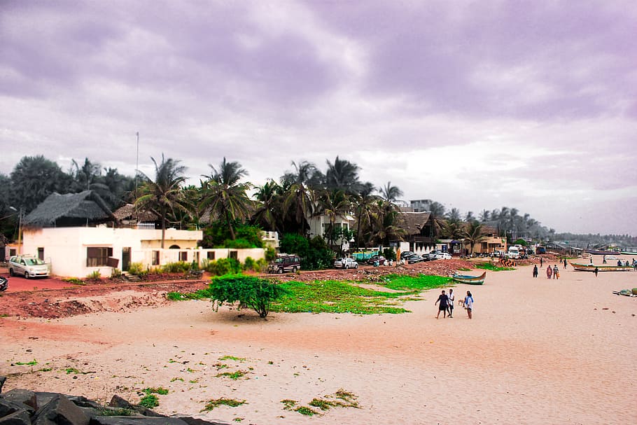 india, puducherry, trees, beach, sea, architecture, group of people HD wallpaper