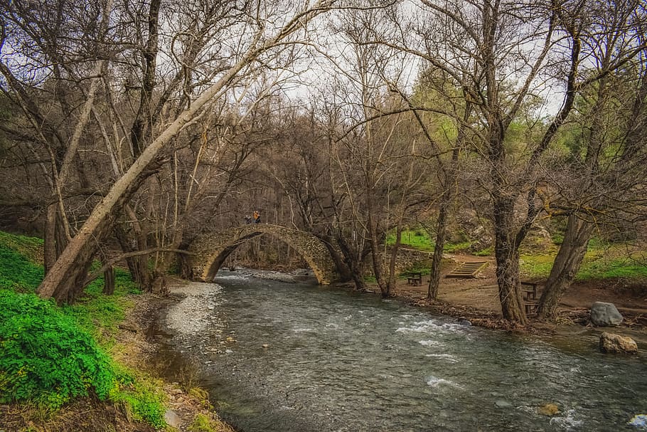 bridge, old, architecture, river, stones, trees, scenery, idyllic HD wallpaper