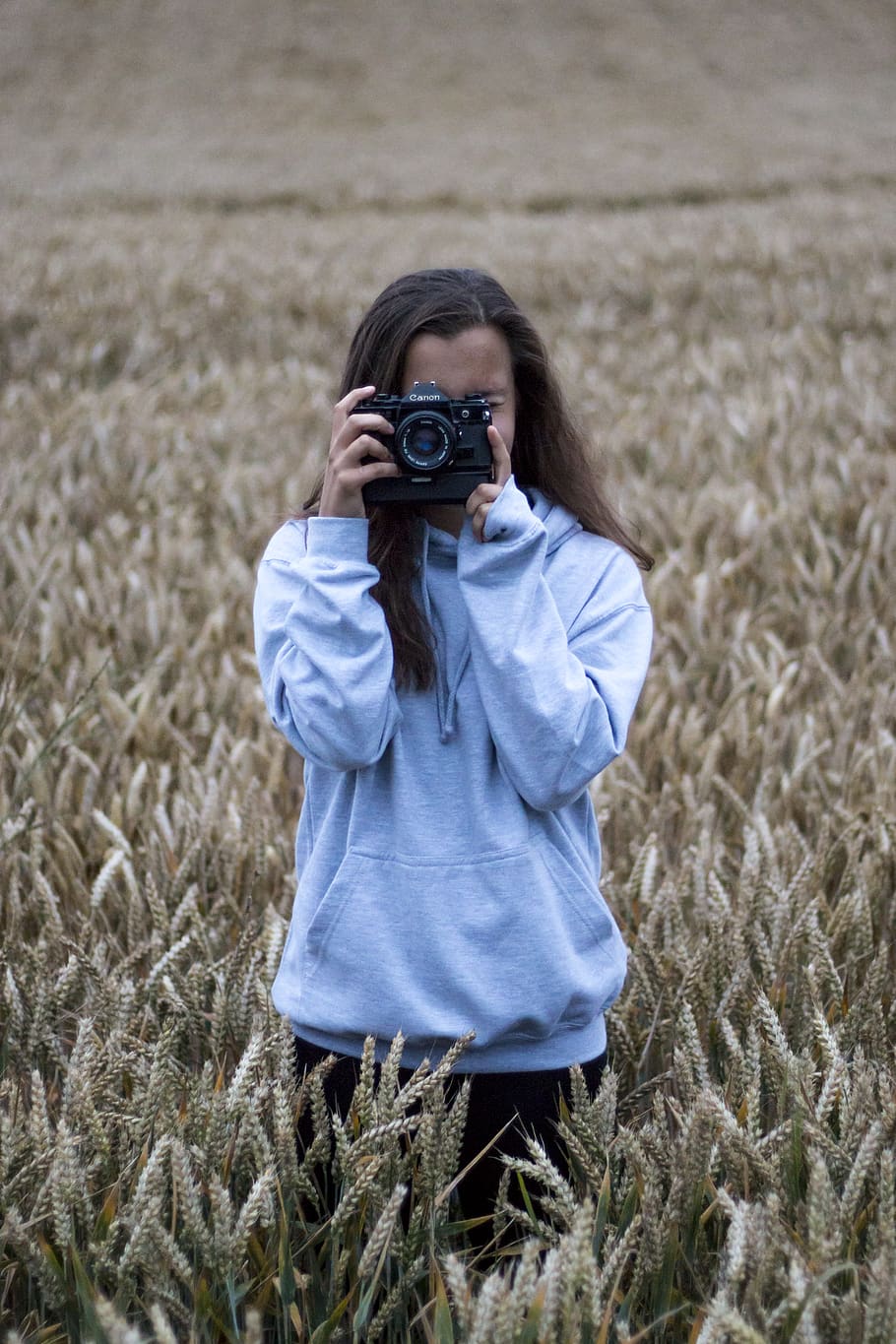 field, wheat, camera, portrait, girl, canon a-1, film, film camera HD wallpaper