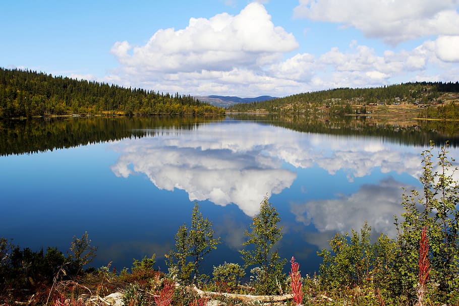 lake, water, surface, mirroring, bank, norway, fjord, nature HD wallpaper