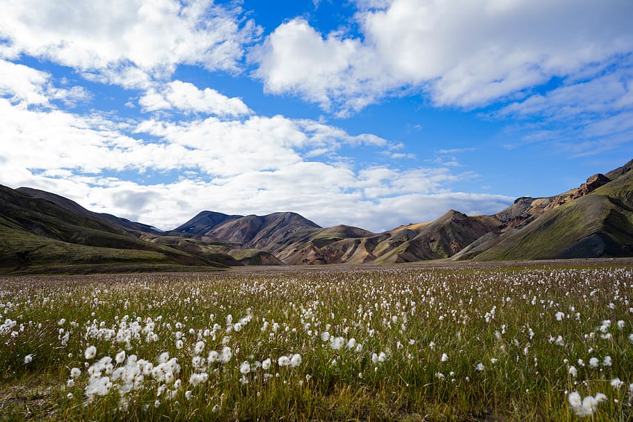 iceland, cloud - sky, mountain, beauty in nature, plant, tranquil scene HD wallpaper